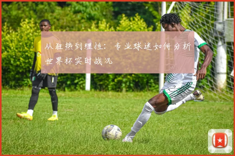 从狂热到理性：专业球迷如何分析世界杯实时战况