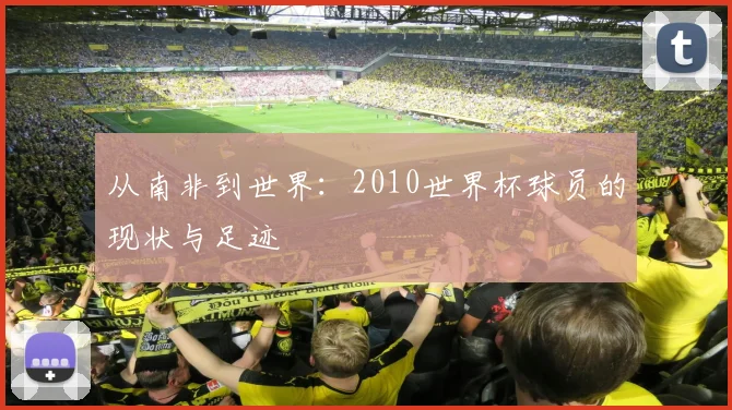 从南非到世界：2010世界杯球员的现状与足迹