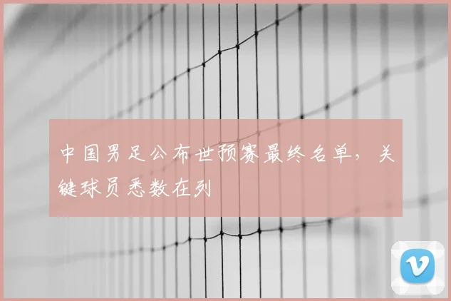 中国男足公布世预赛最终名单,关键球员悉数在列
