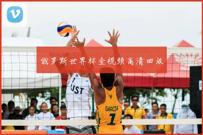 俄罗斯世界杯全视频高清回放